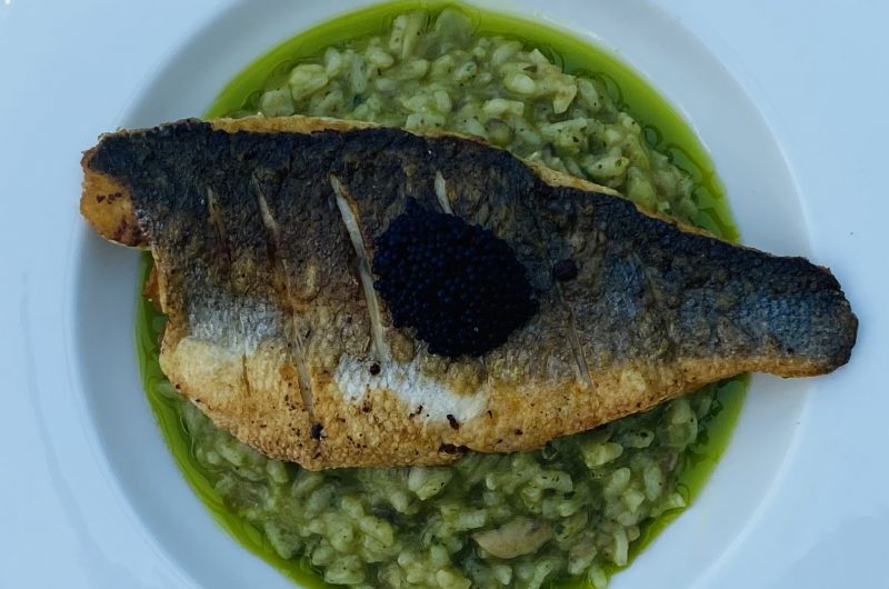 Sea bass, mushroom risotto and tarragon oil